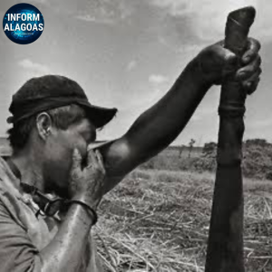 Www.informalagoas.com.br