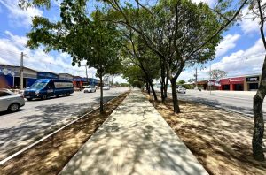WhatsApp-Image-2024-02-09-at-11.49.38
